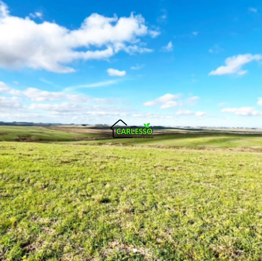 Fazenda, 156 hectares - Foto 2