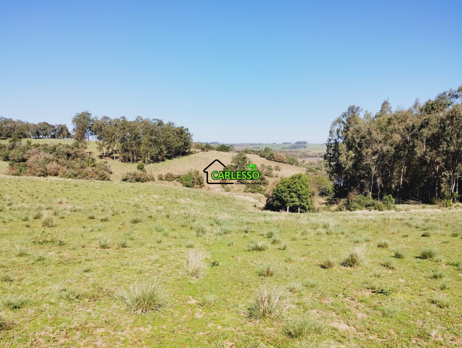 Chácara, 3 quartos, 12 hectares - Foto 24