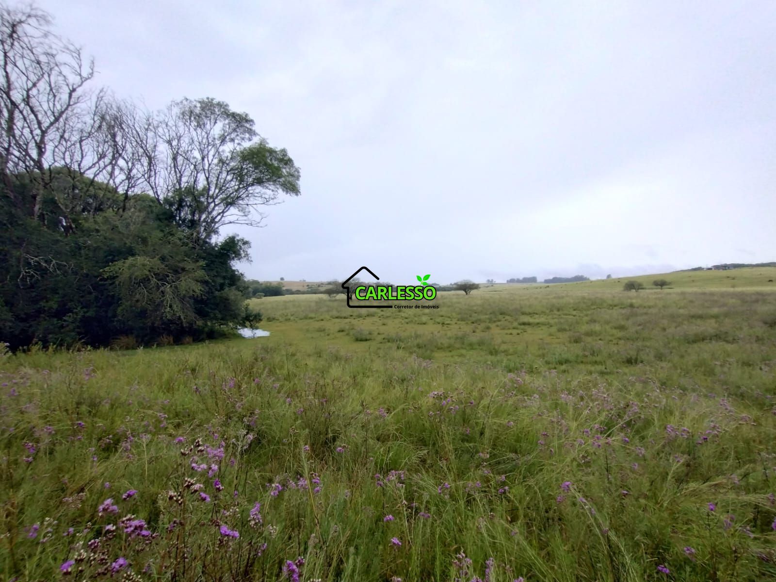 Fazenda de 80 ha em Alegrete