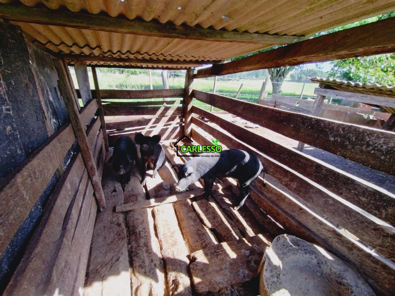 Chácara, 2 quartos, 2 hectares - Foto 24