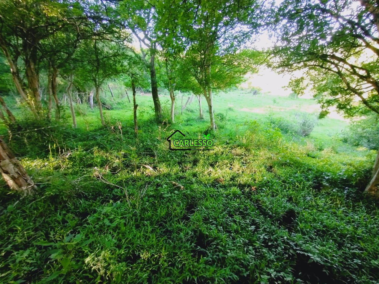 Chácara, 2 quartos, 7 hectares - Foto 44