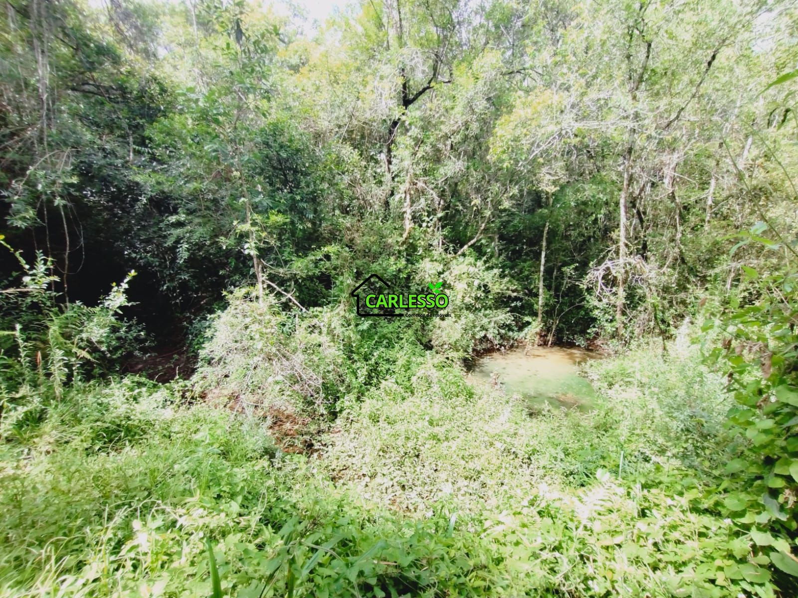 Sítio, 25 hectares - Foto 45