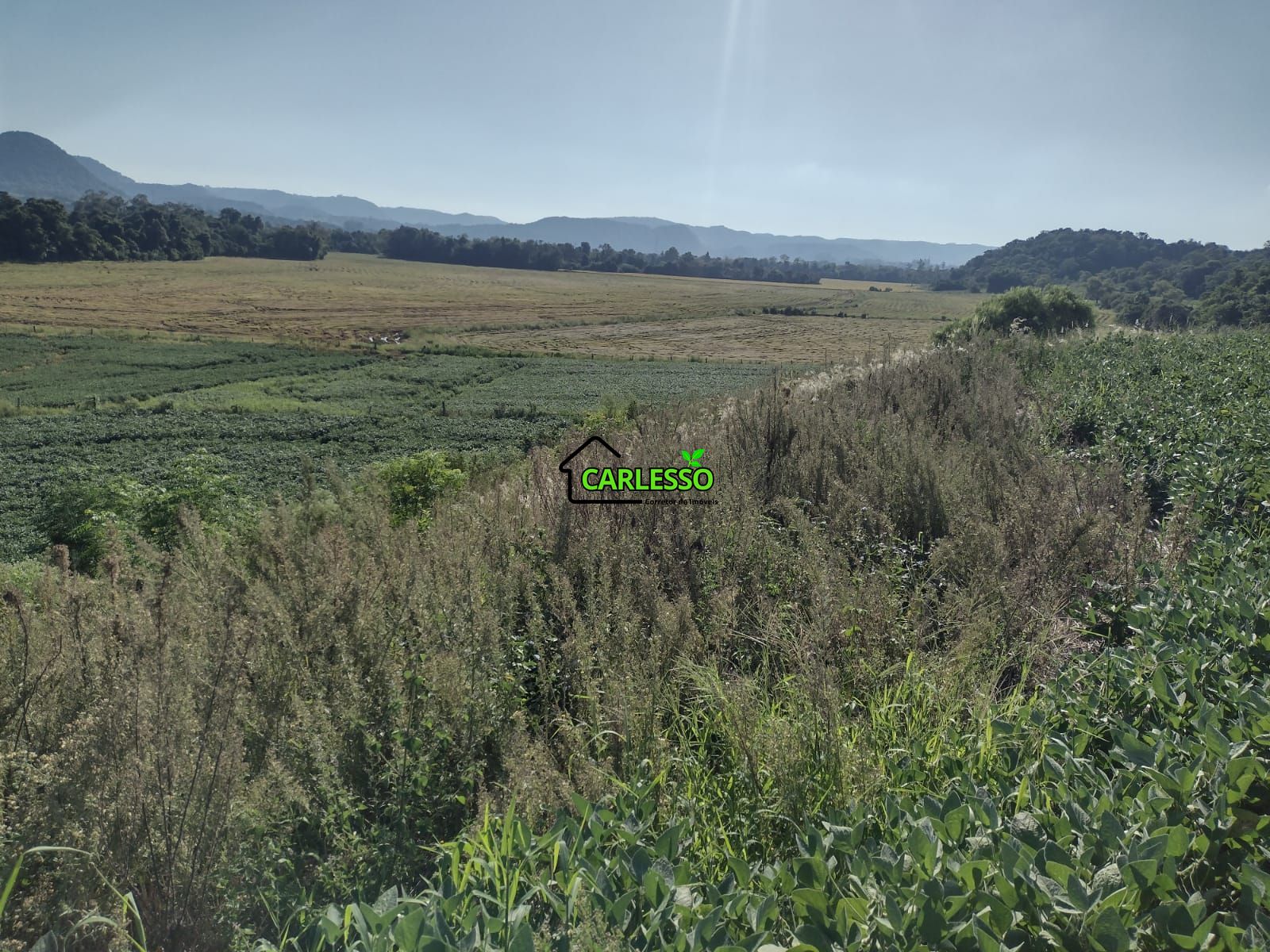 Área de 8,5 ha a venda