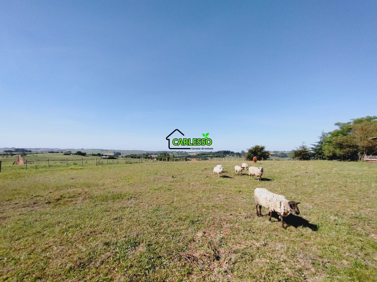 Chácara, 2 quartos, 2 hectares - Foto 19