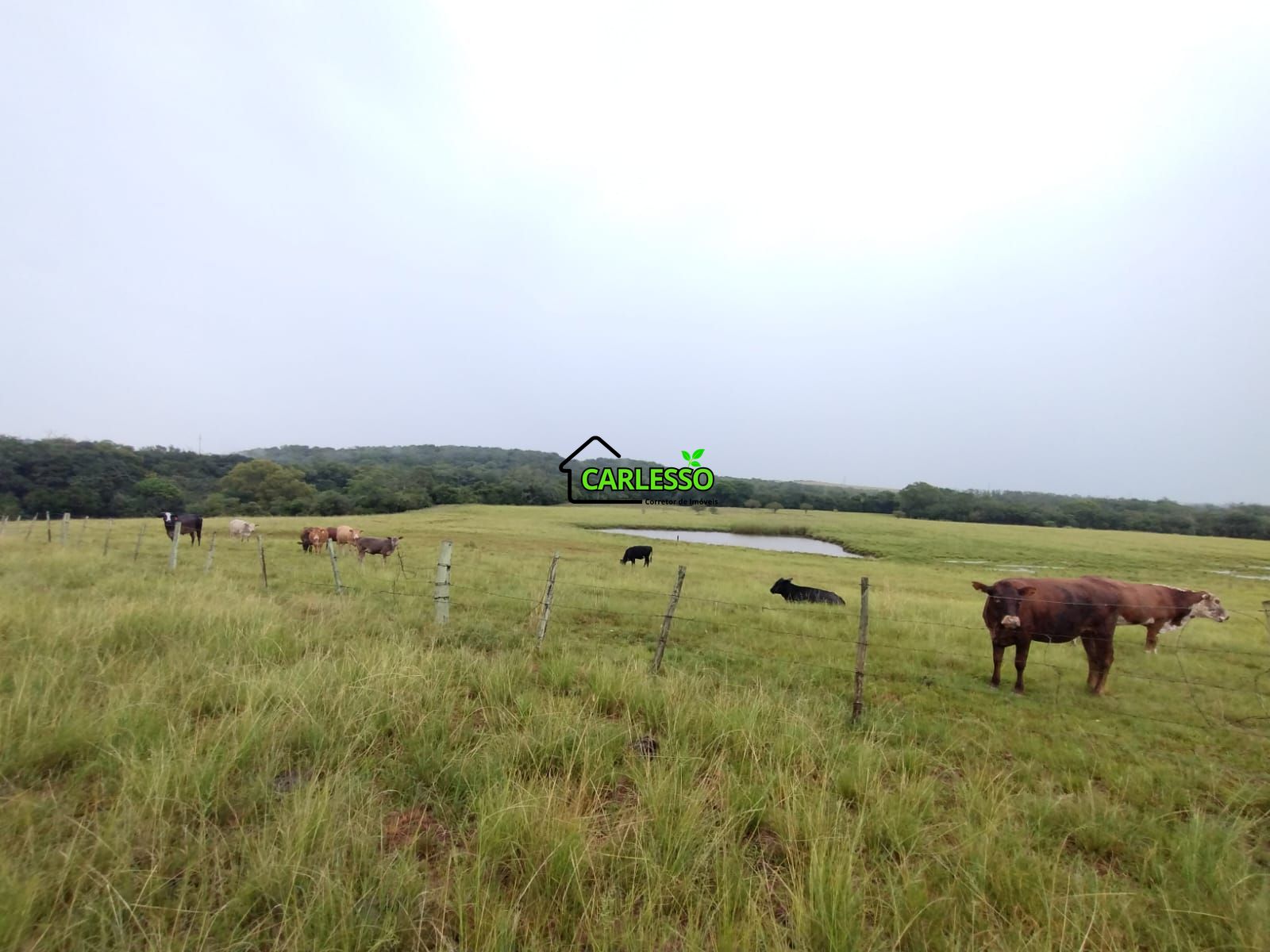 Fazenda de 80 ha em Alegrete