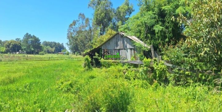Chácara, 2 quartos, 2 hectares - Foto 8