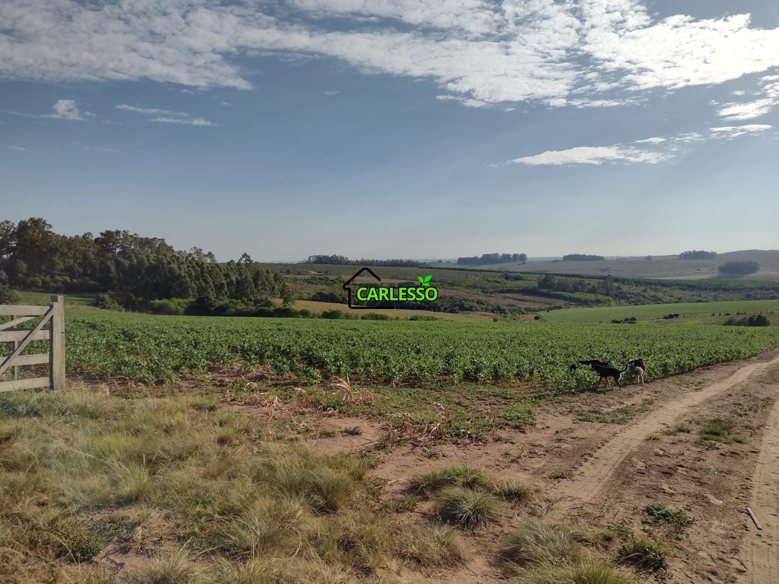 Fazenda com 63 ha