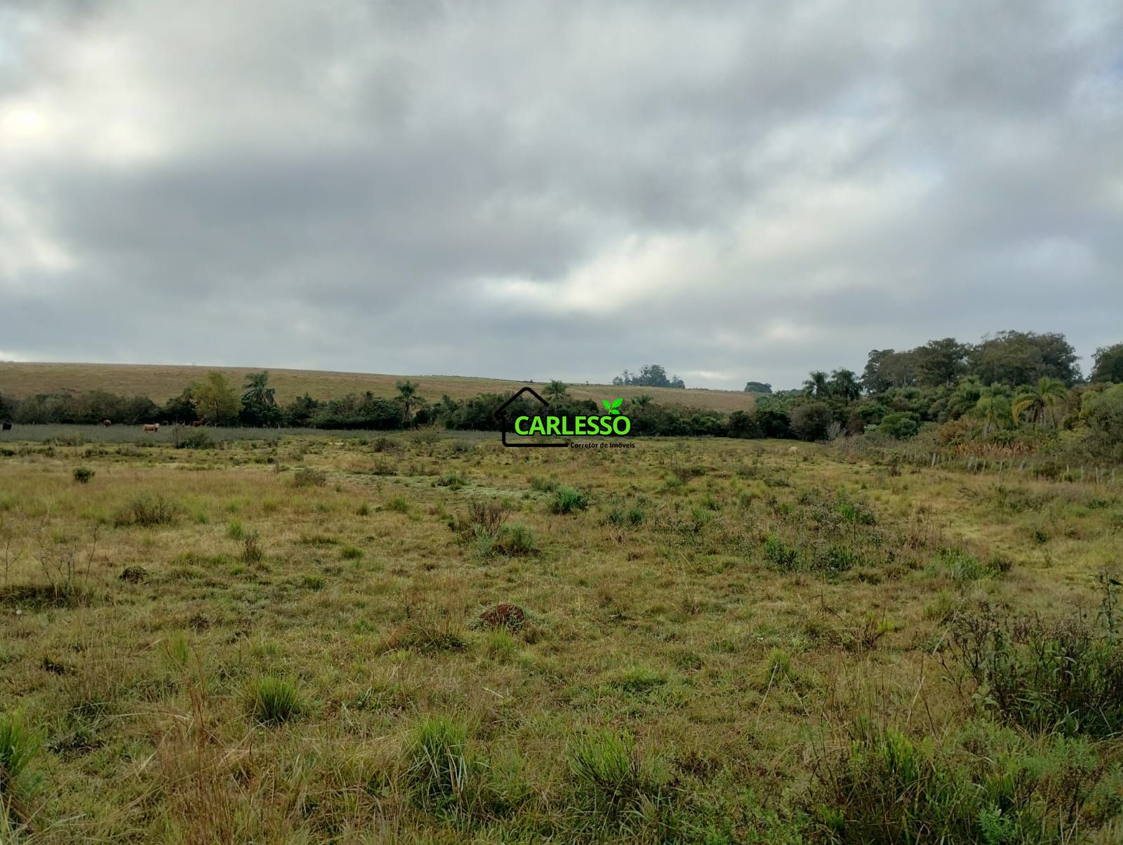 Área rural de frente ao asfalto