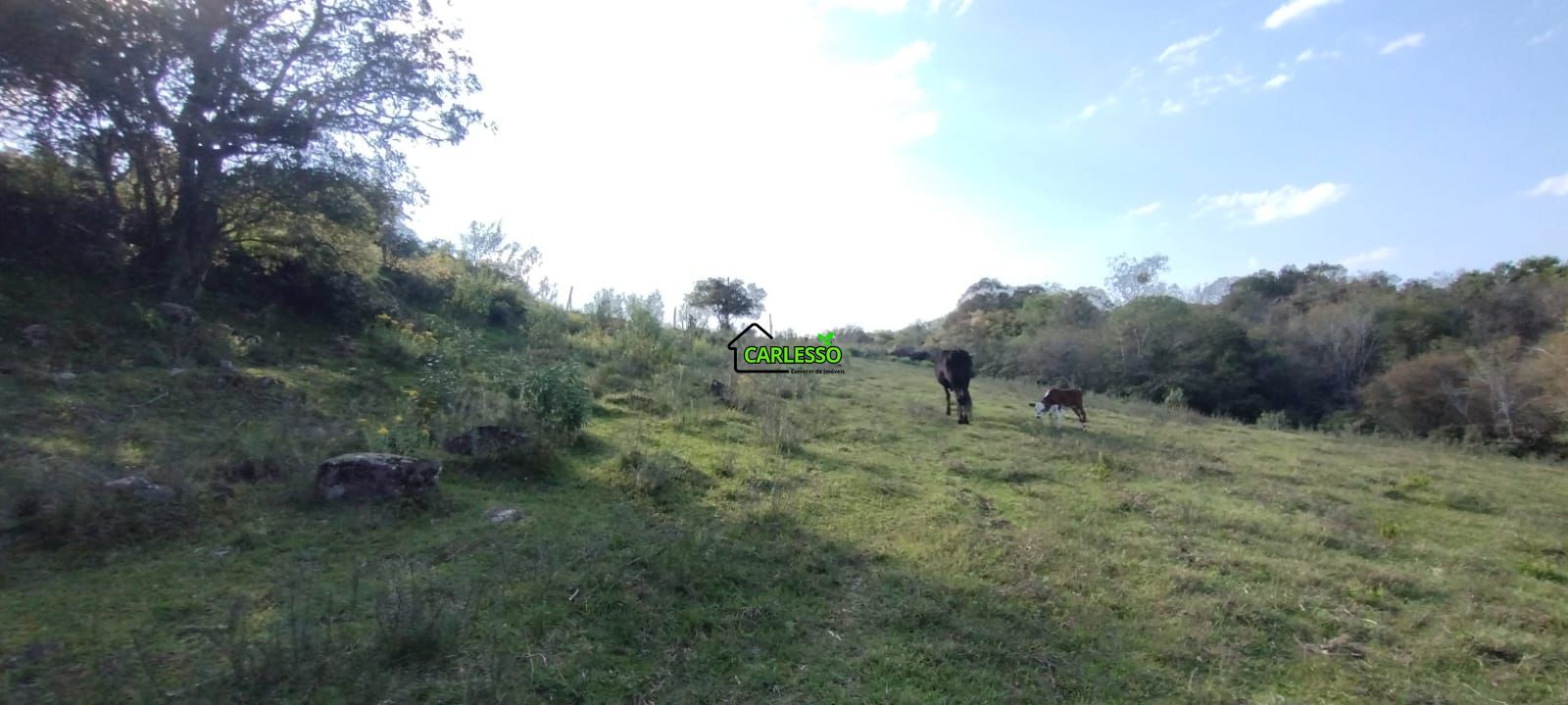 Área rural de 5 ha