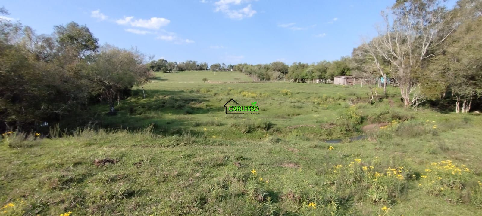 Área rural de 5 ha