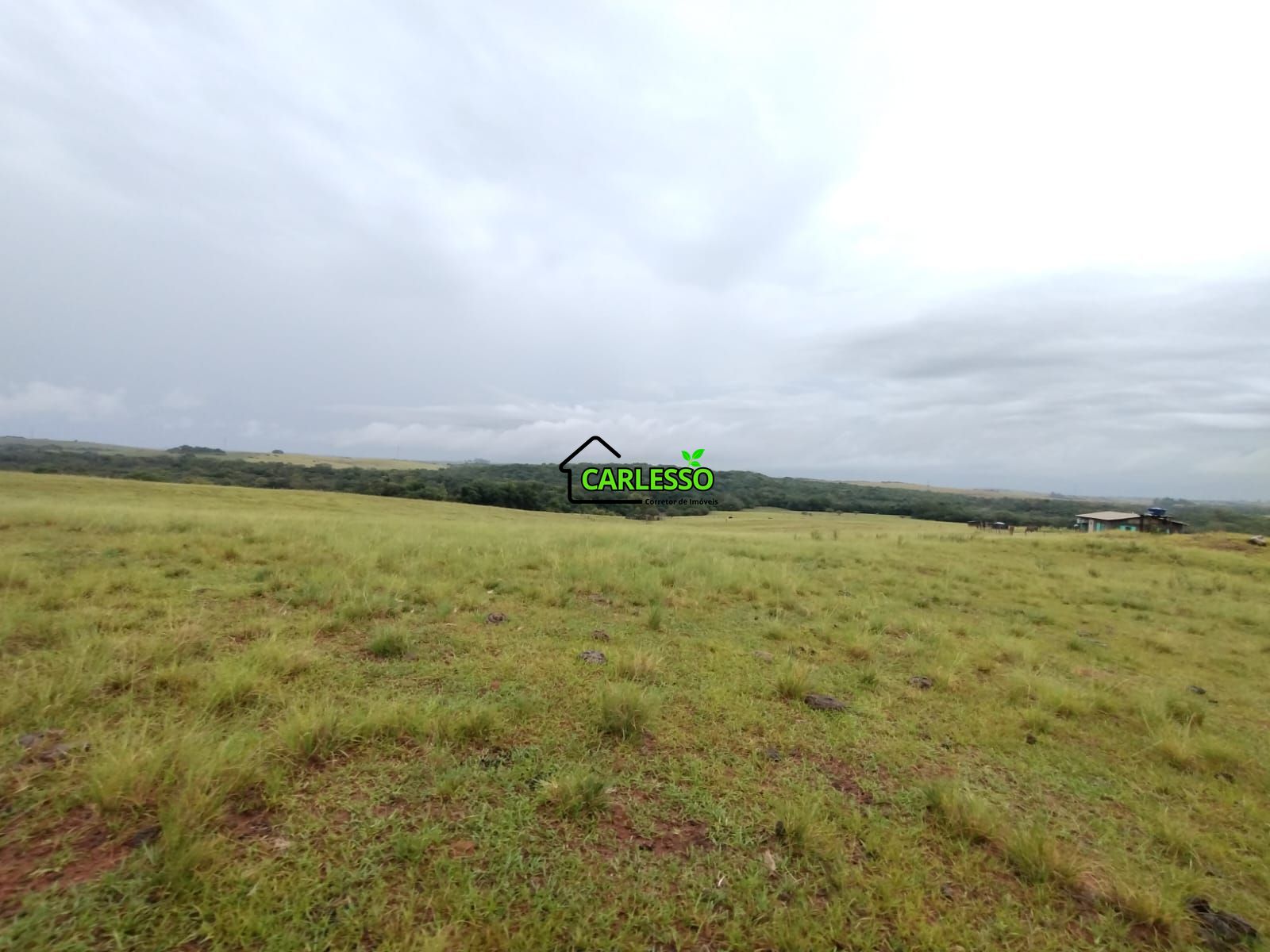 Fazenda de 80 ha em Alegrete