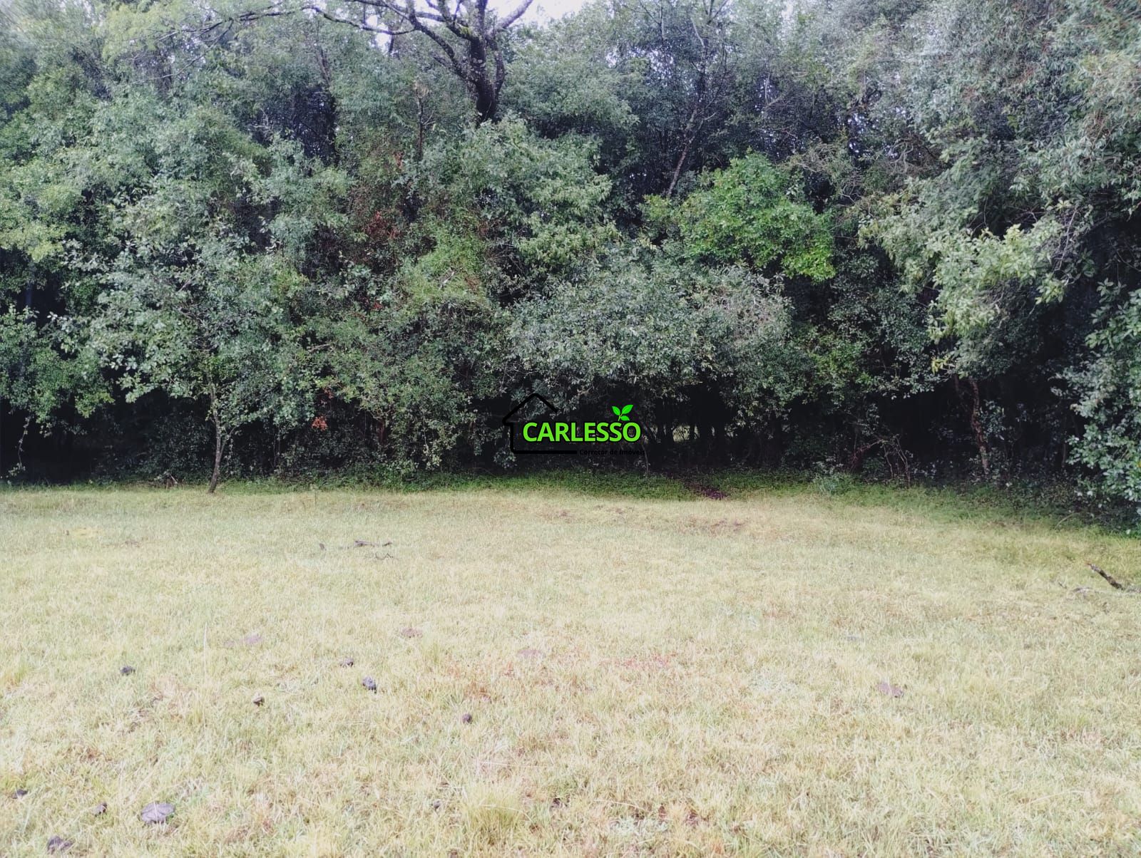 Fazenda de 80 ha em Alegrete