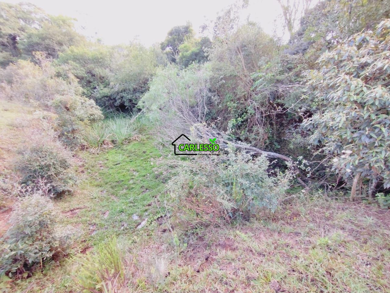 Chácara, 9 hectares - Foto 44