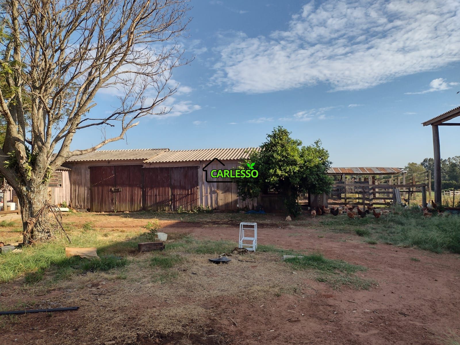 Fazenda com 63 ha