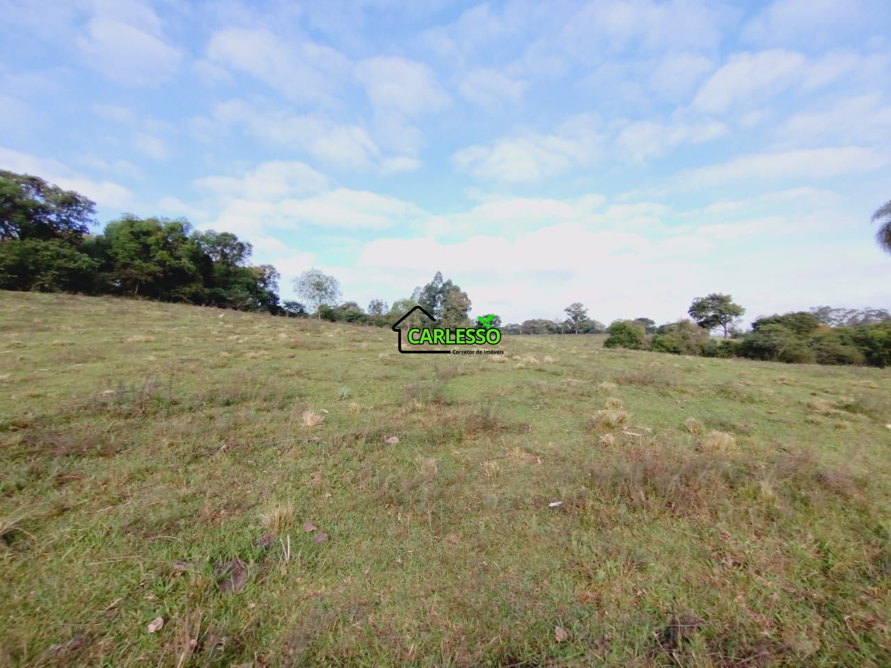 Chácara, 9 hectares - Foto 14