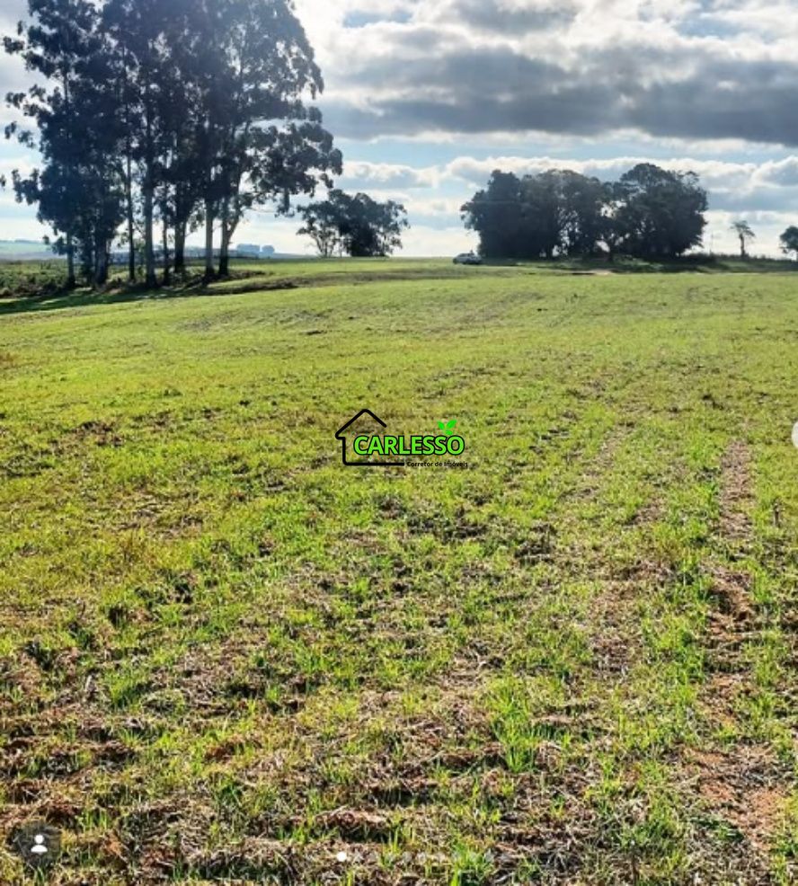 Fazenda, 156 hectares - Foto 4
