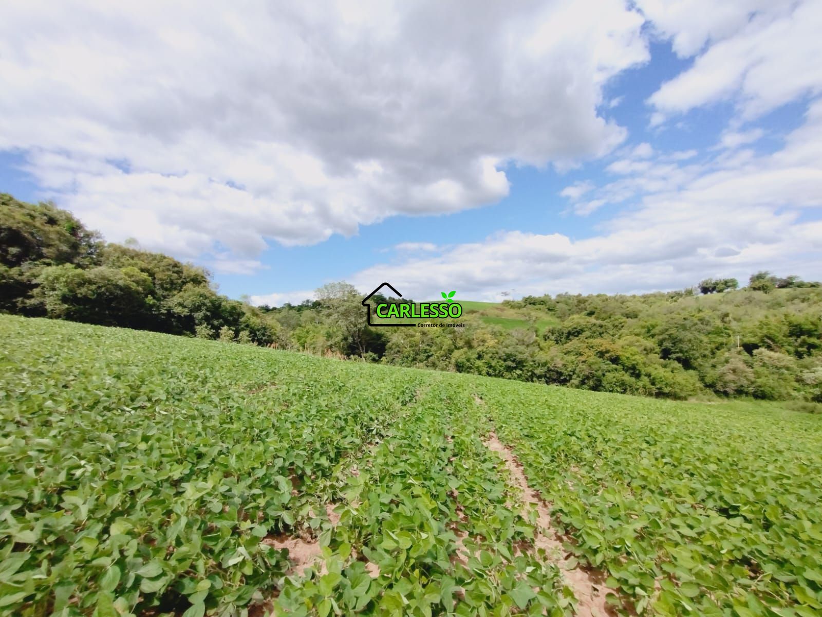 Sítio, 25 hectares - Foto 73