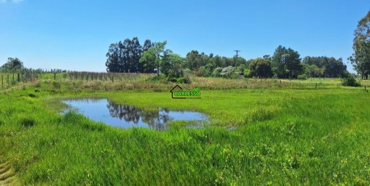 Chácara, 2 quartos, 2 hectares - Foto 9