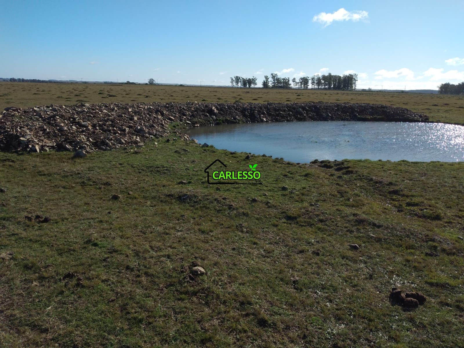 Fazenda de 65 ha