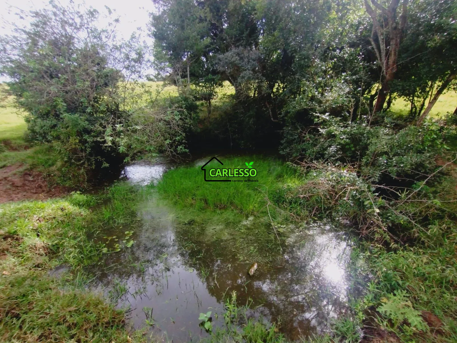 Sítio, 3 quartos, 4 hectares - Foto 42