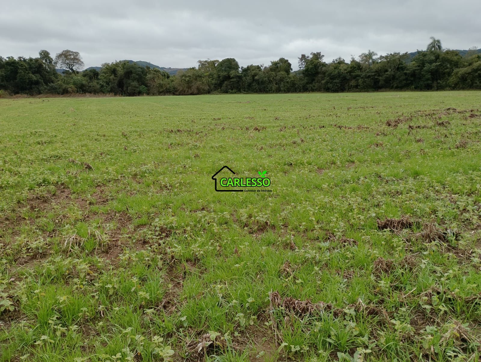 Sítio, 6 hectares - Foto 4