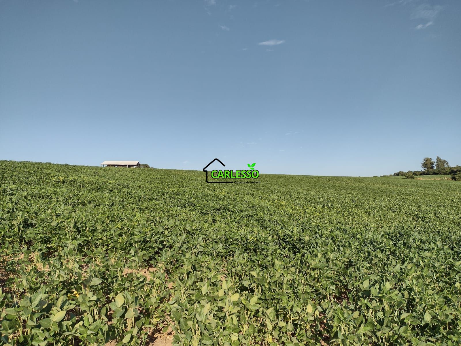 Fazenda com 63 ha