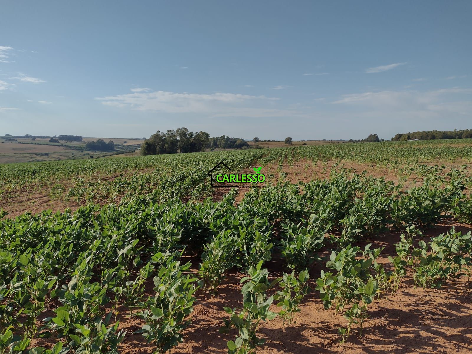 Fazenda com 63 ha