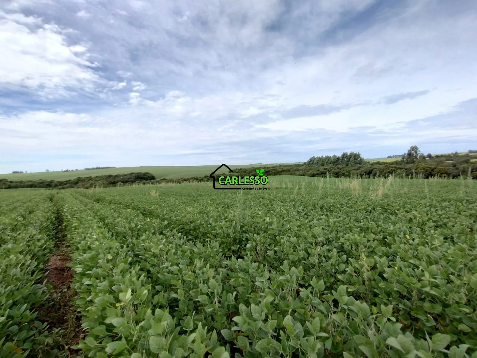 Sítio, 3 quartos, 25 hectares - Foto 2