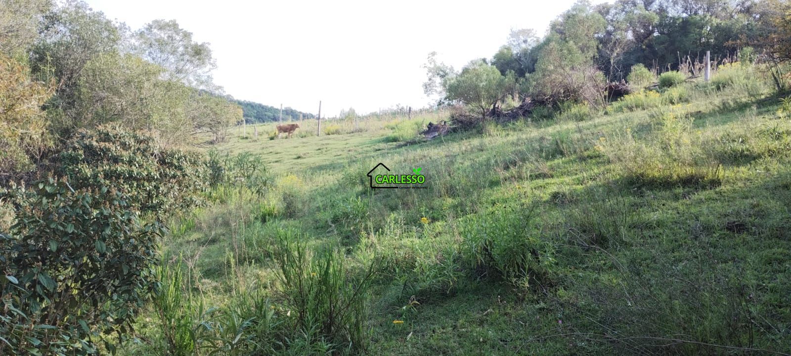 Área rural de 5 ha