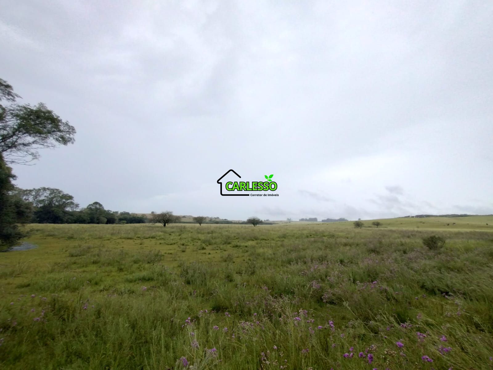 Fazenda de 80 ha em Alegrete