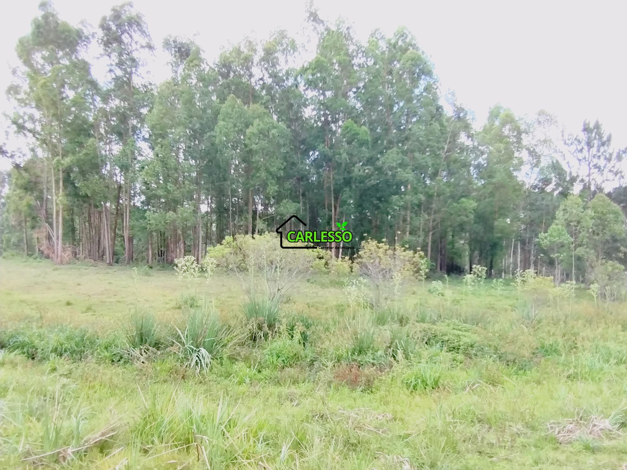 Chácara, 2 quartos, 2 hectares - Foto 38