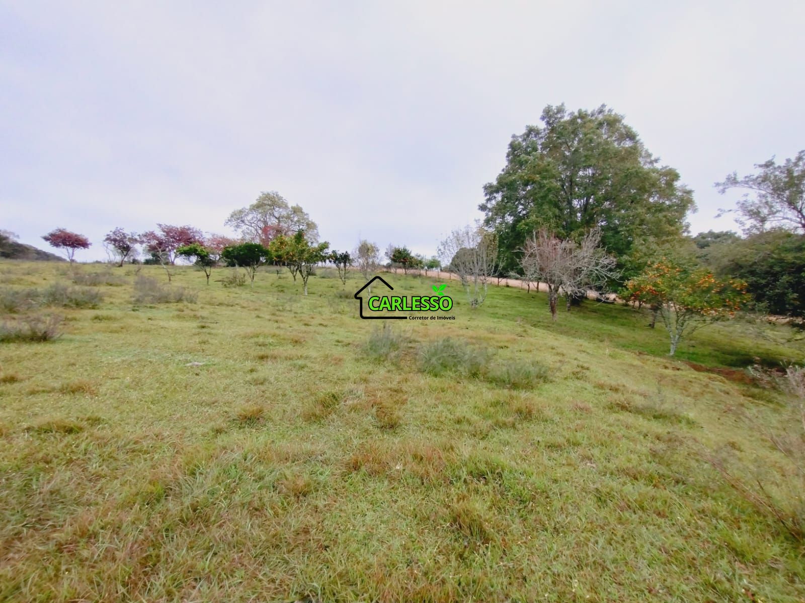 Área rural de frente ao asfalto