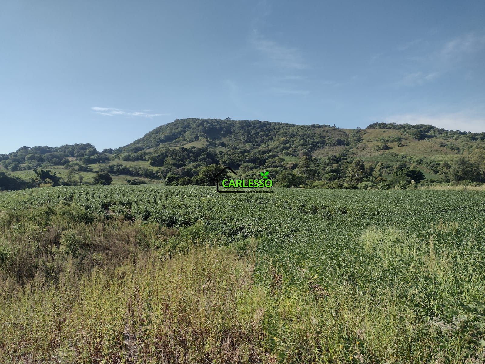 Área de 8,5 ha a venda