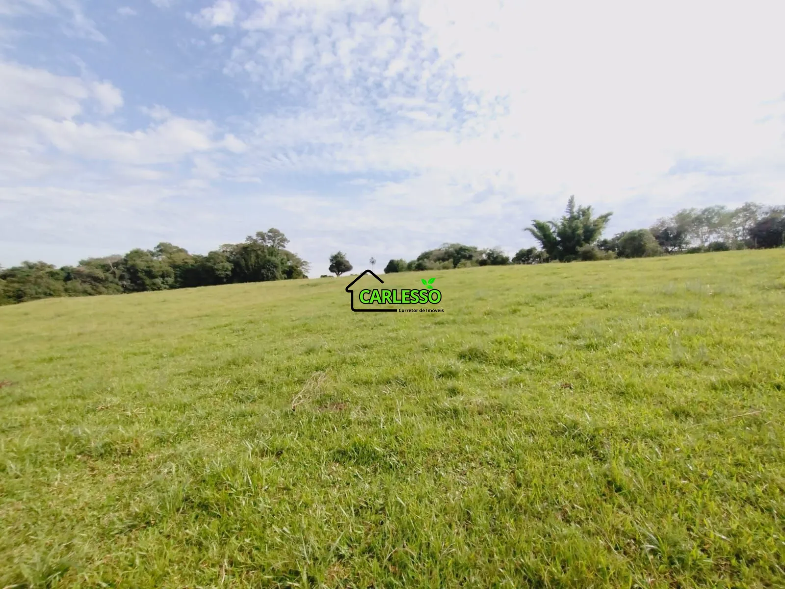 Sítio, 3 quartos, 4 hectares - Foto 47