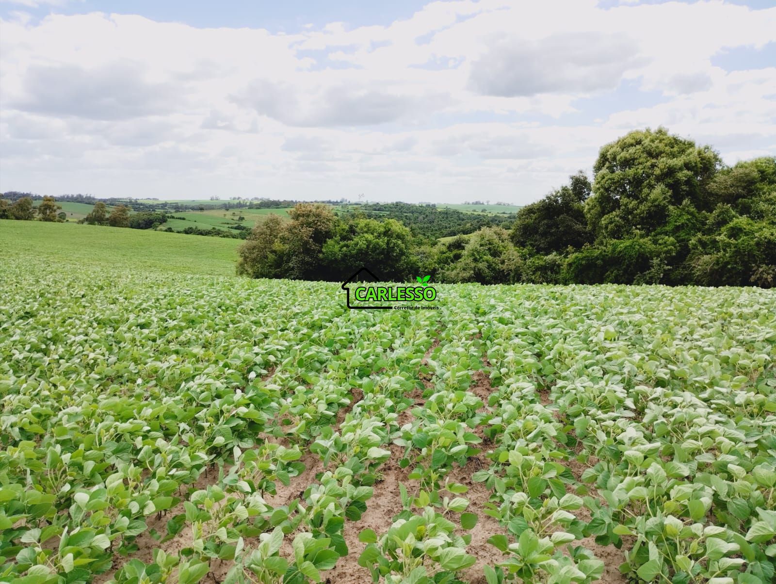 Sítio, 25 hectares - Foto 66