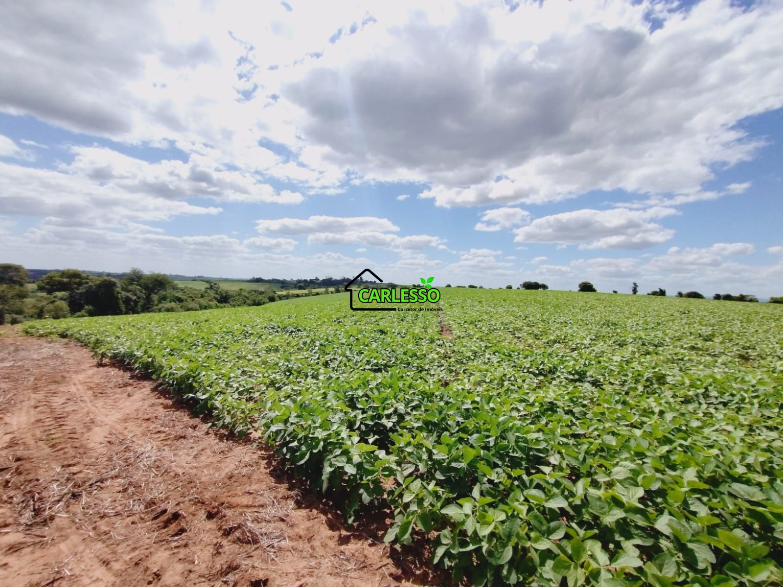 Sítio, 25 hectares - Foto 63