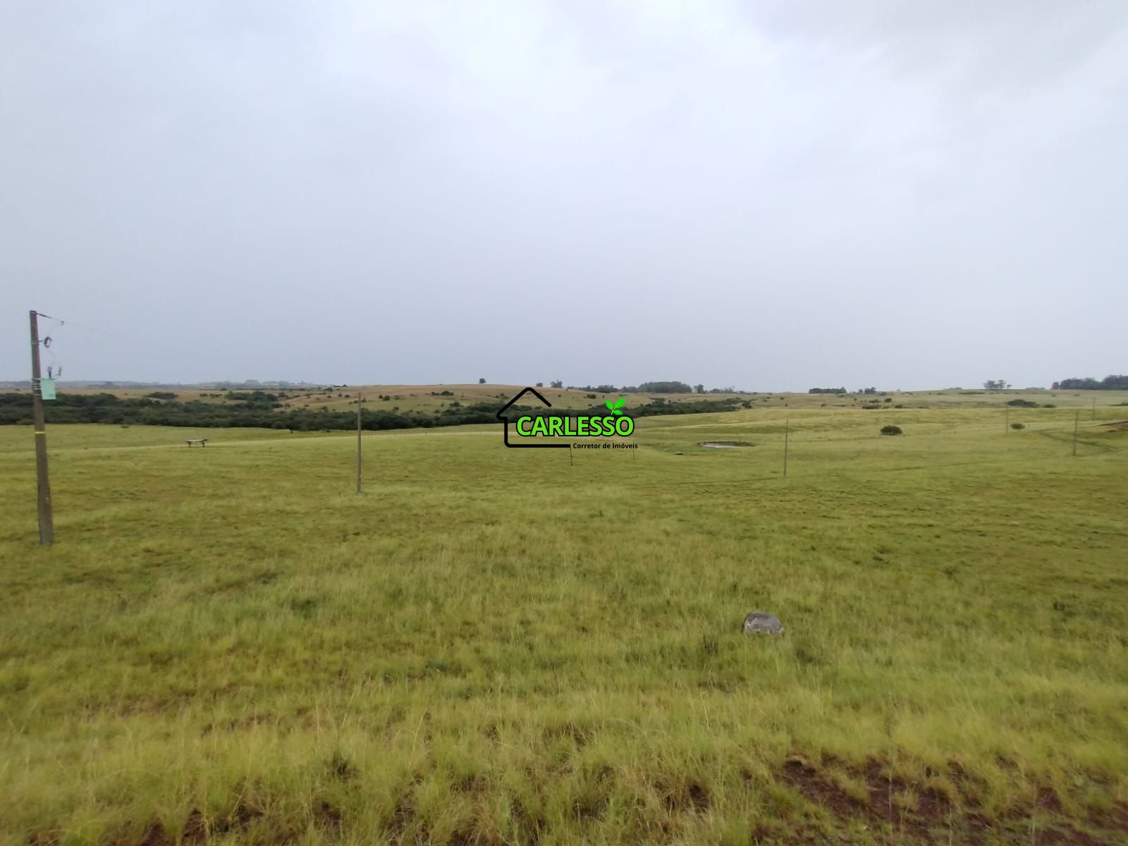 Fazenda de 80 ha em Alegrete