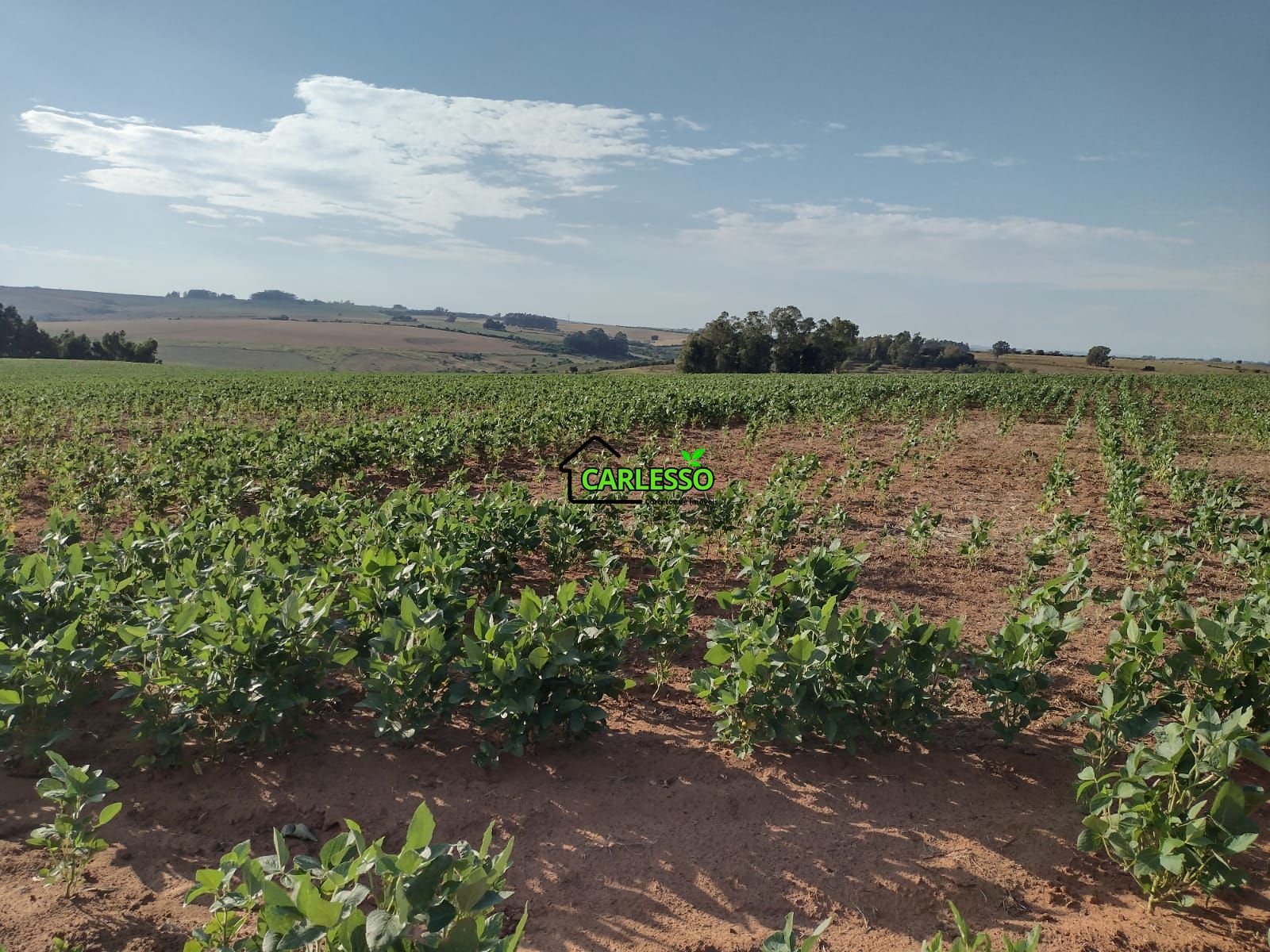 Fazenda com 63 ha