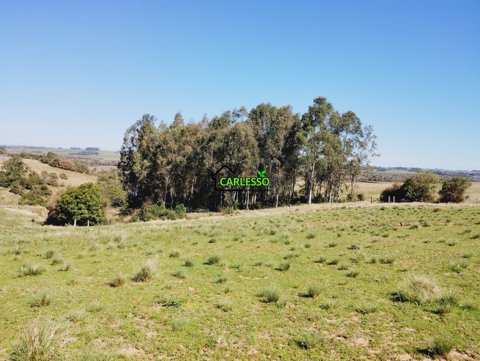 Chácara, 3 quartos, 12 hectares - Foto 25