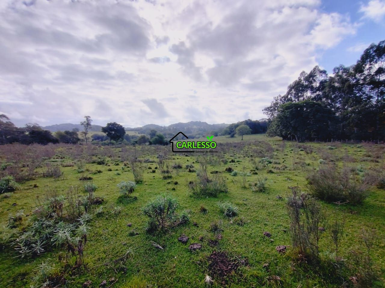 Chácara, 9 hectares - Foto 38