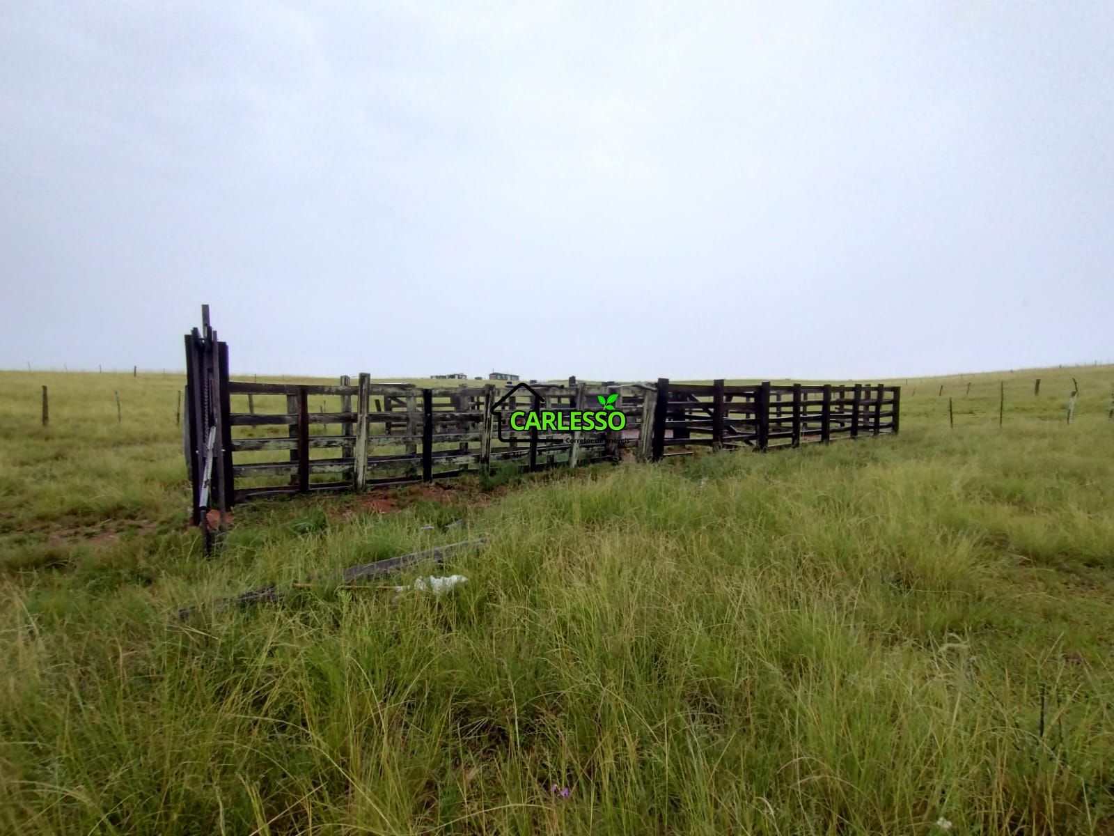 Fazenda de 80 ha em Alegrete