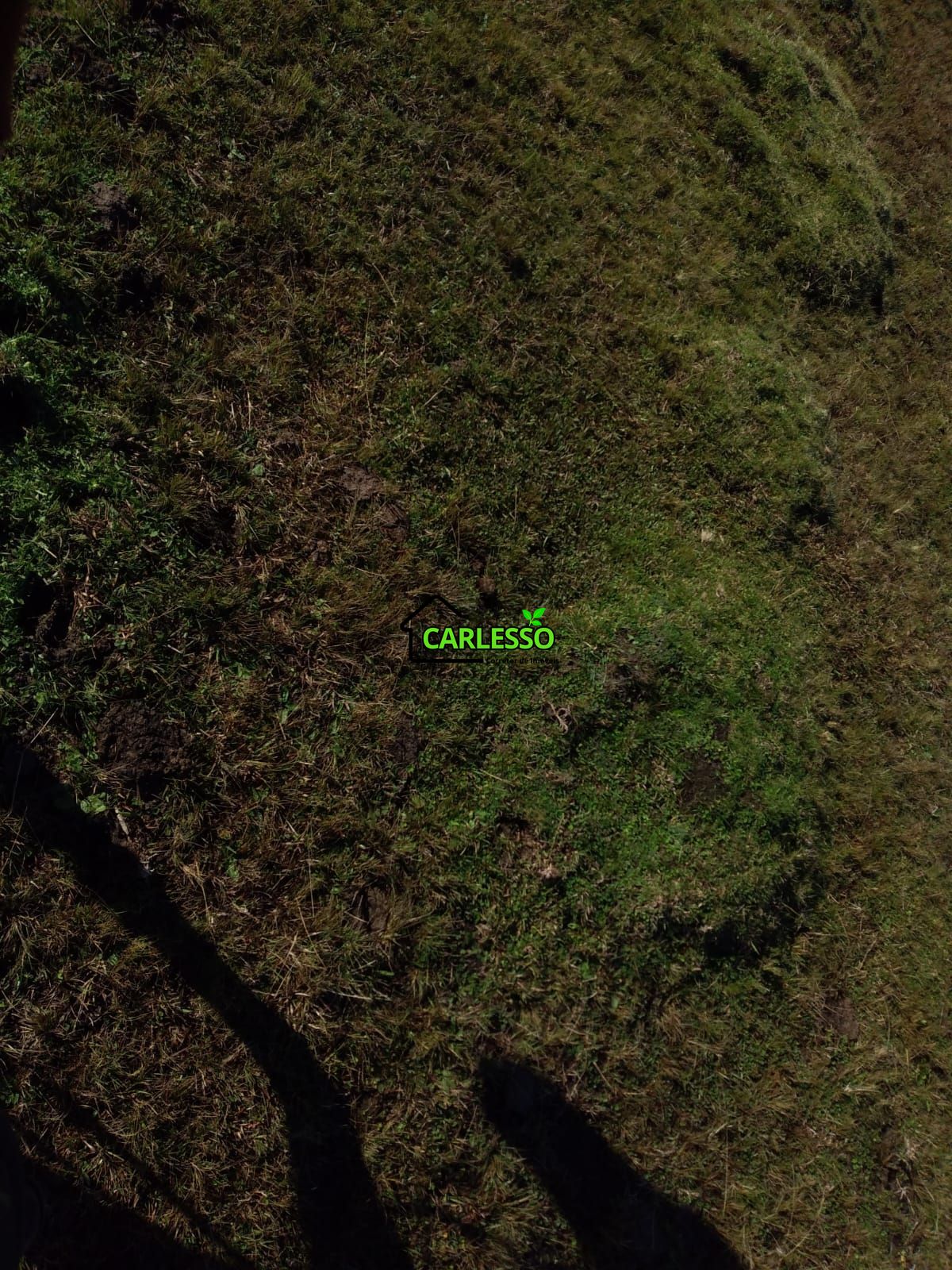 Fazenda de 65 ha