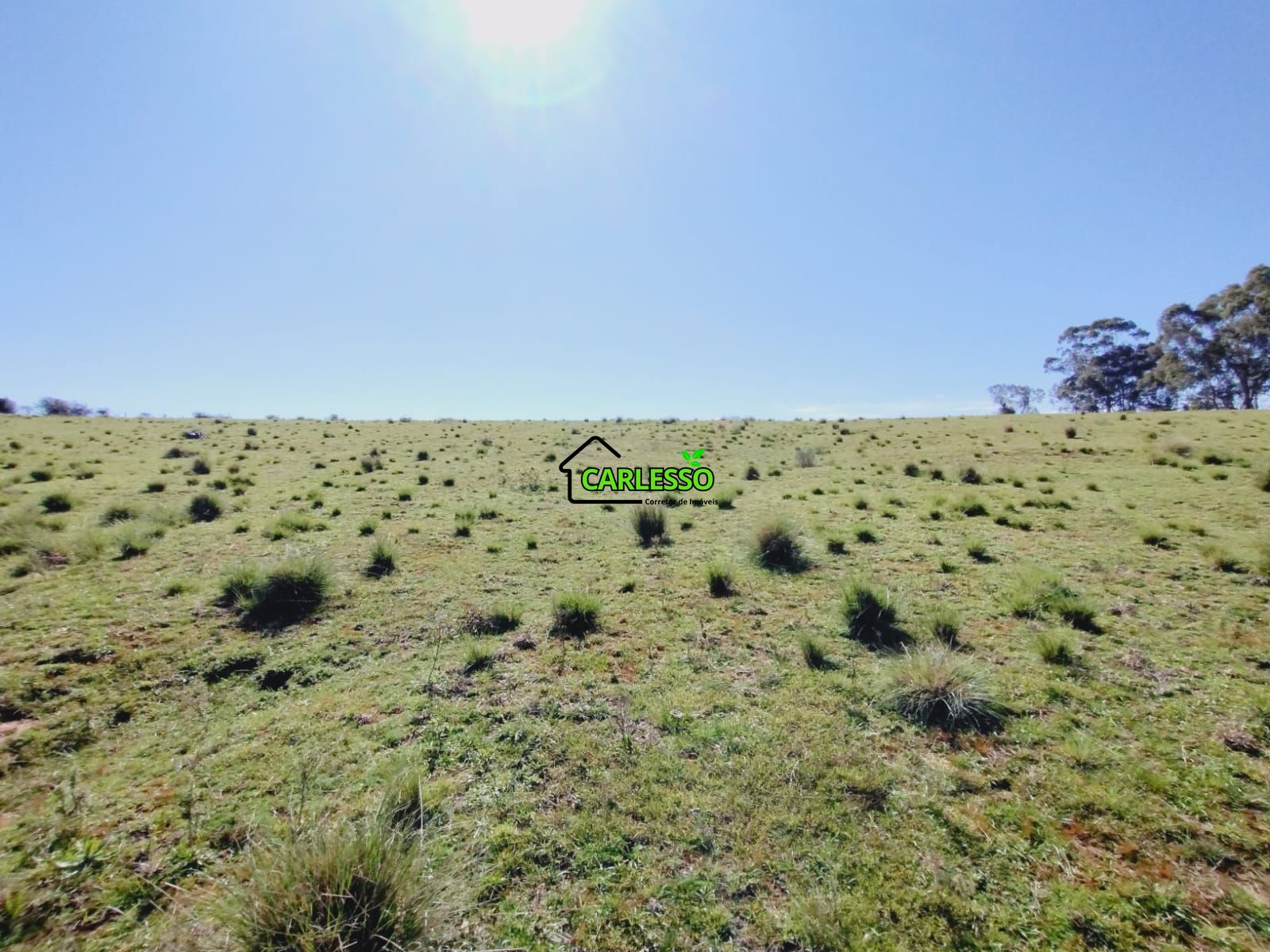 Chácara, 3 quartos, 12 hectares - Foto 28