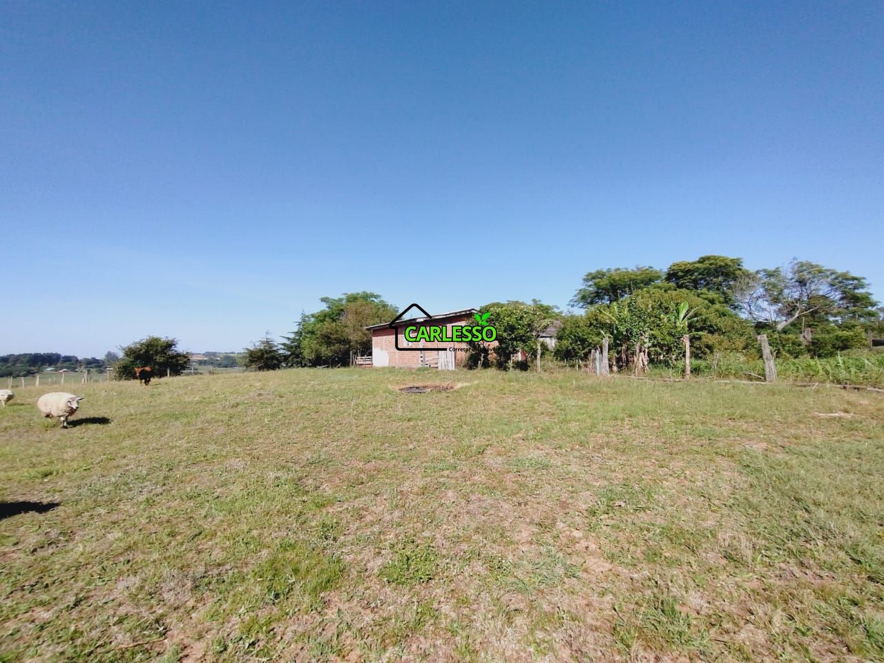 Chácara, 2 quartos, 2 hectares - Foto 18