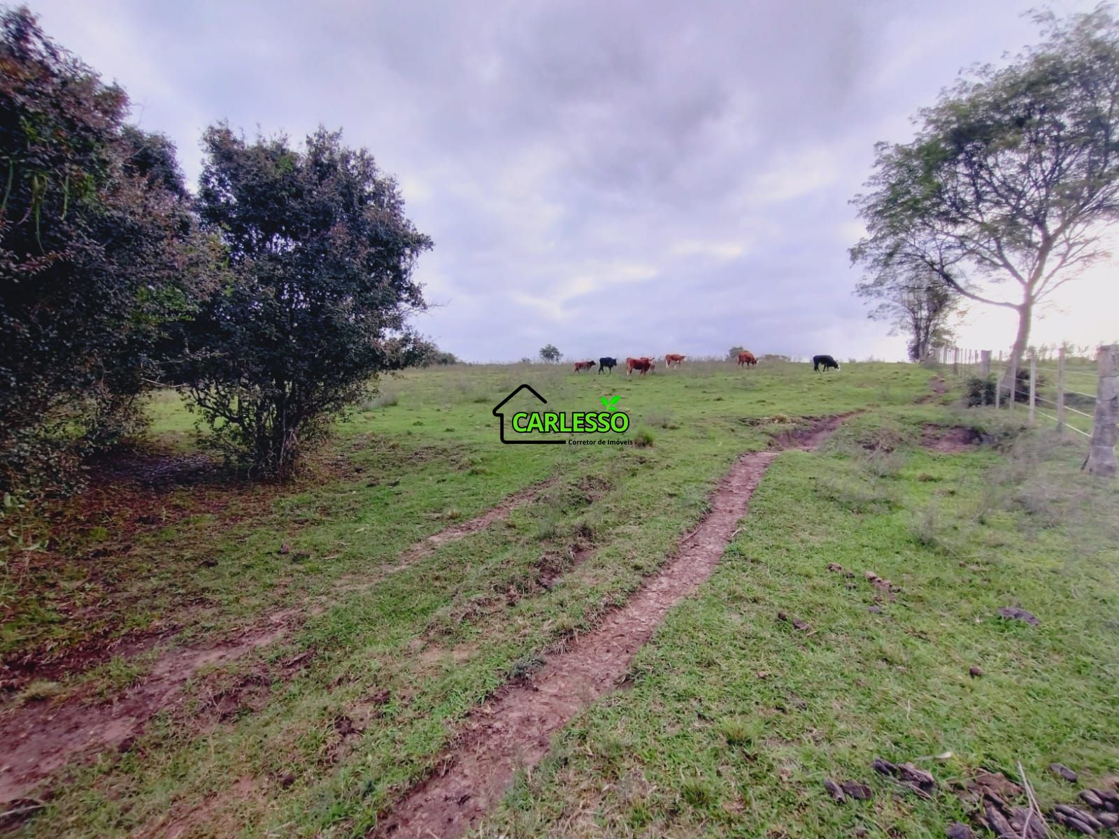 Terreno, 6 hectares - Foto 12