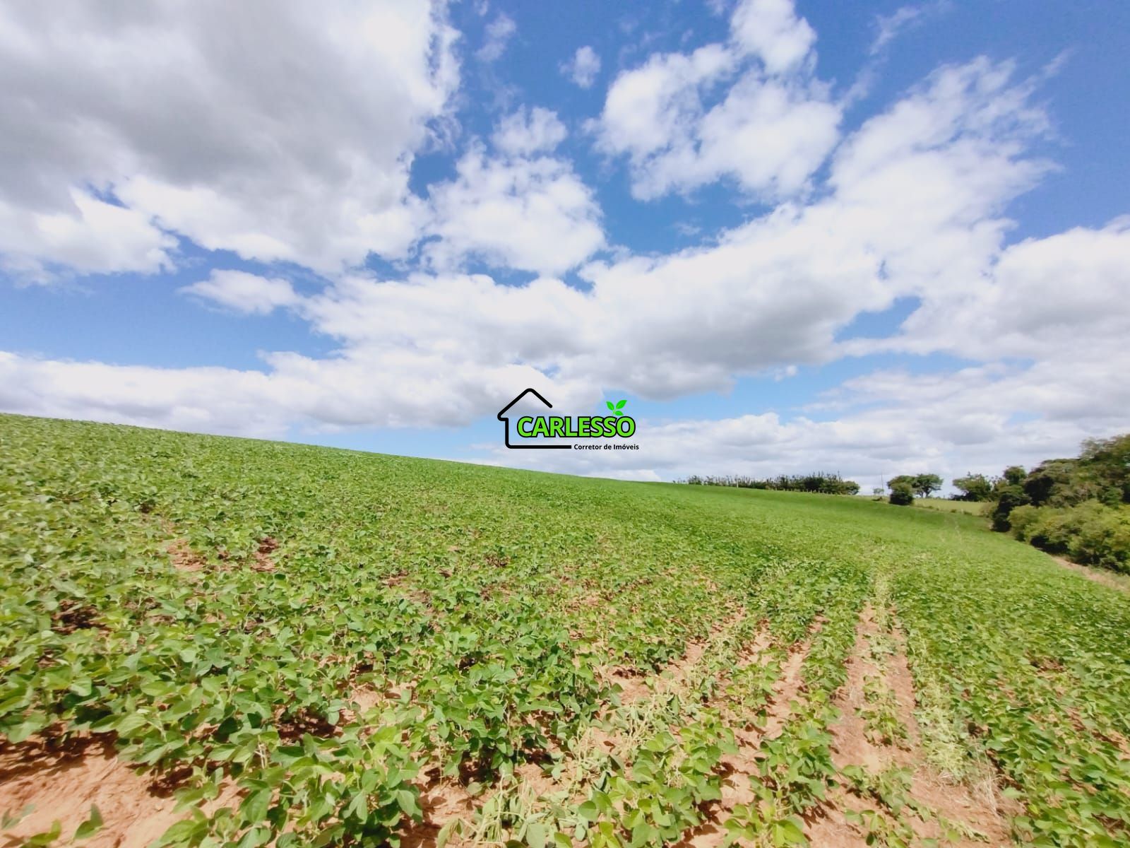 Sítio, 25 hectares - Foto 13