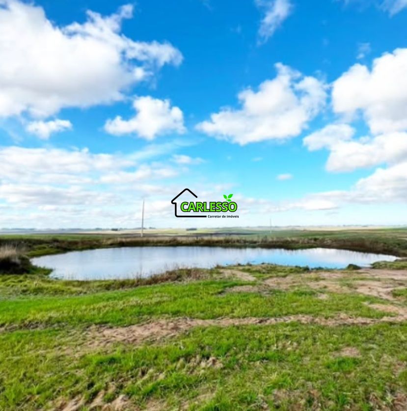 Fazenda, 156 hectares - Foto 6