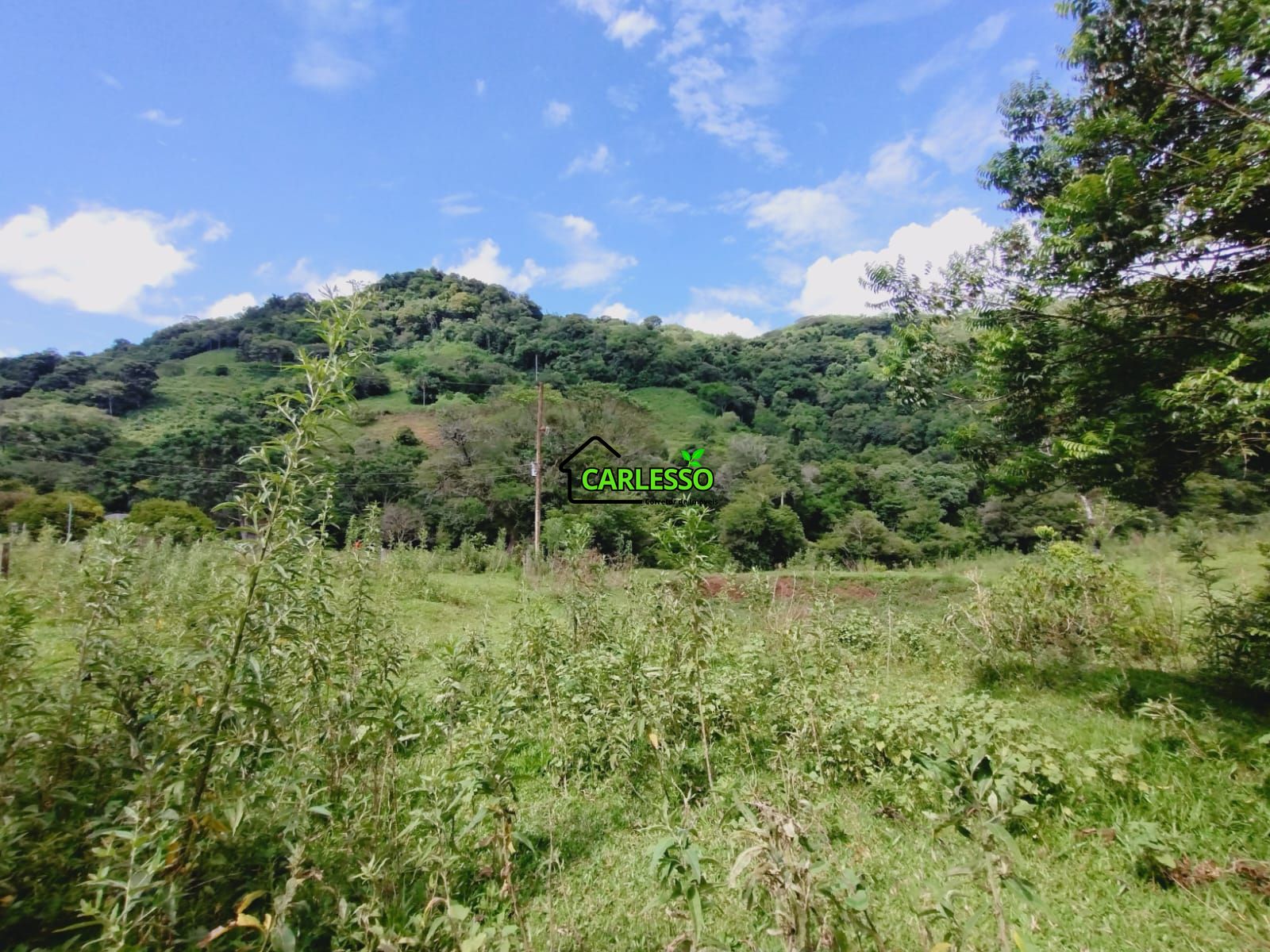 Sítio, 23 hectares - Foto 22