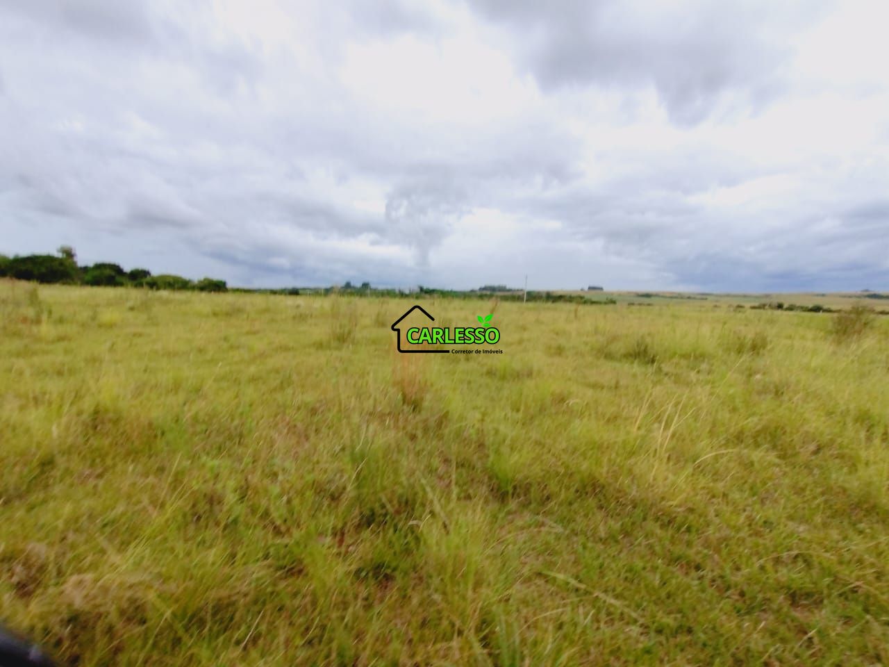 Fazenda, 119 hectares - Foto 14