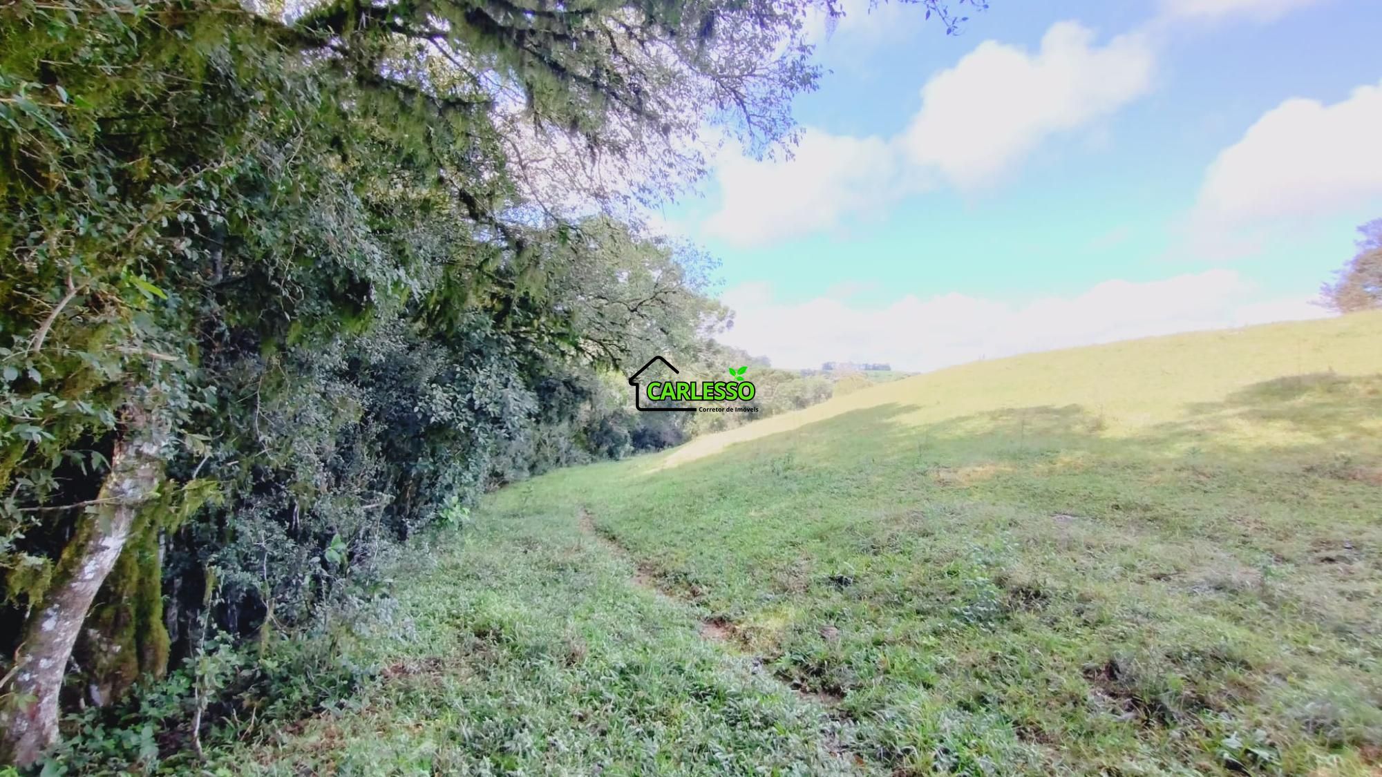 Área rural de 6 ha